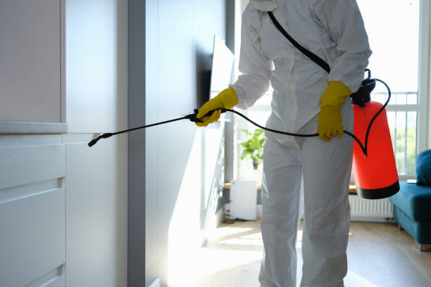 Best Emergency Mold Removal  in Morris Plains, NJ